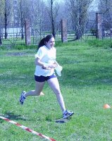 Loi in dirittura di arrivo