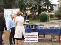 IPA STROZZI S.BENEDETTO PO'