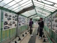 Alcuni alunni all'interno della mostra