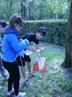 Ribeiro 4AS alla punzonatura