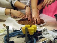 Foto di Veronica Bocchi - 1AG