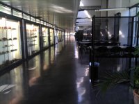 L'interno della Facoltà