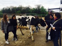 Un momento della visita