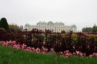 residenza imperiale Belvedere