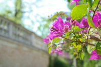 Uscita didattica a Padova