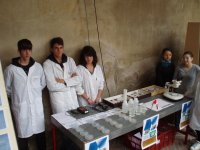 IPA STROZZI S.BENEDETTO PO'