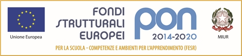 Logo PON 2014-2010 - FESR